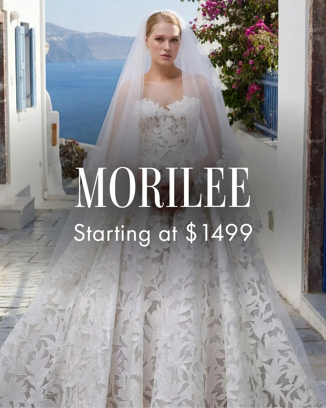 Morilee