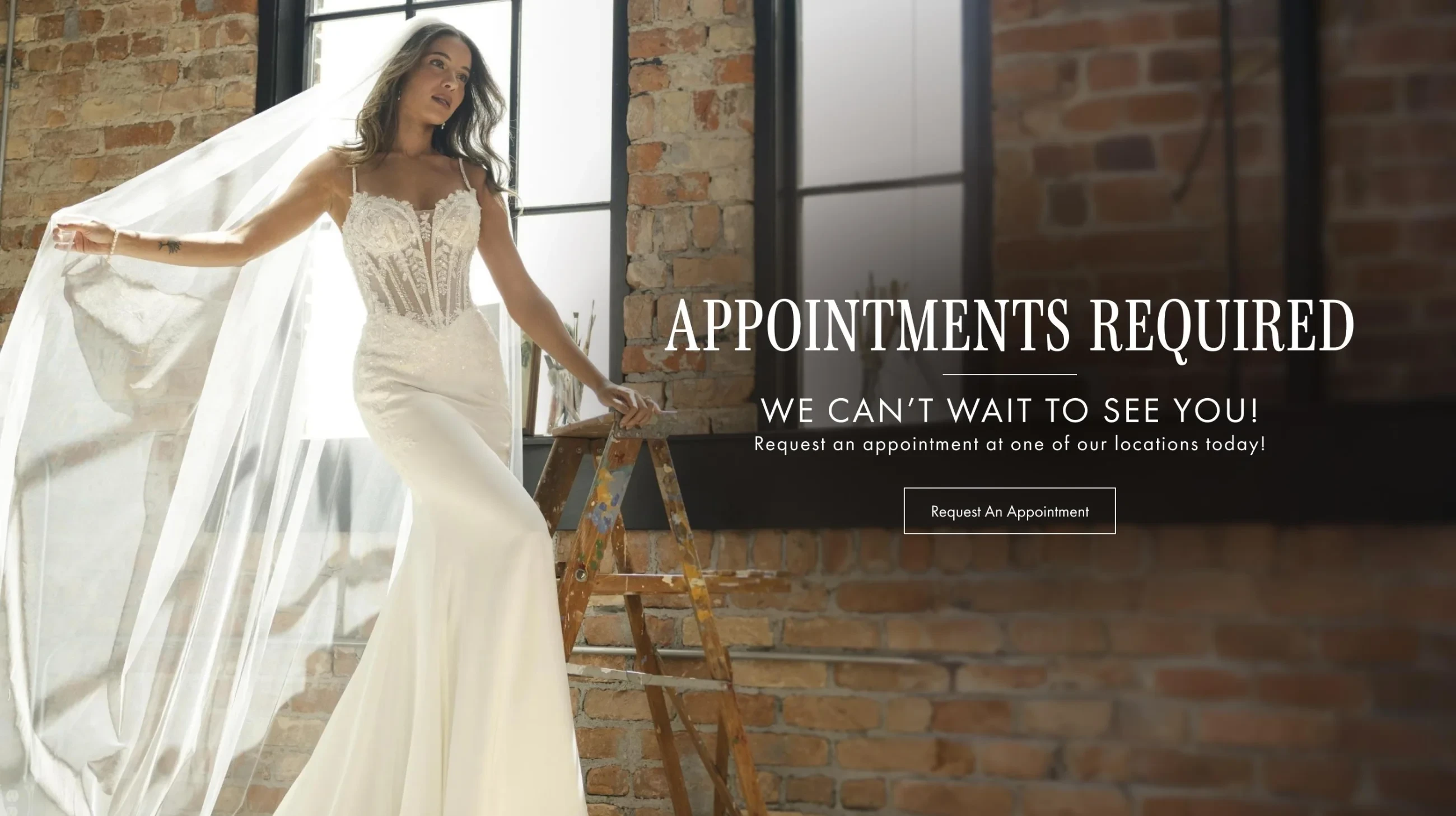 Model wearing Maggie Sottero India bridal gown, desktop banner